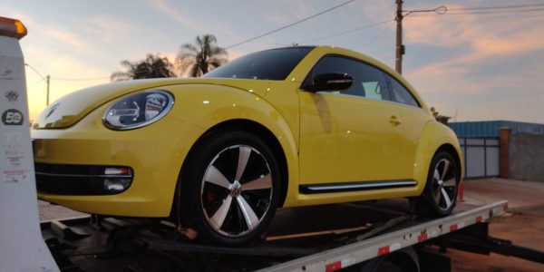 Imagem do WhatsApp de 2023-03-29 à(s) 11.51.22